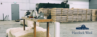 The Havelock Wool Story – in a 3 minute video!