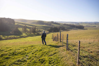 Wool Innovation with Sonoma Wool Company