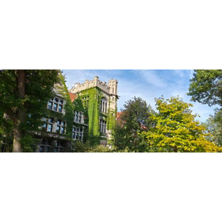 Why Universities should use Havelock Wool