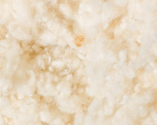 Rockwool has broken the law in the first major settled case of greenwashing in the construction industry
