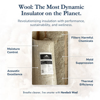 Havelock Wool PRO Batt insulation - R14 | 24" OC
