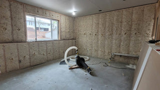 Mold Free Living – Another Havelock Story