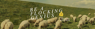 What are the 10 most frequently asked questions about Havelock Wool?