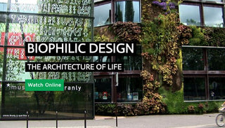 More Nature: It’s good for you, really good!