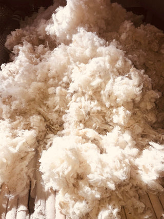 Natural fibers outperform as insulators: it’s science not conjecture.  And it is on the mind of 9th graders.