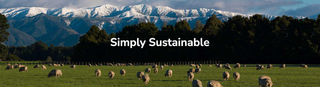 Sustainability: A View Steeped in Experience and Common Sense