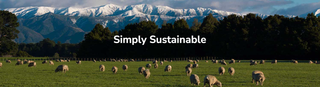 History of Wool Insulation