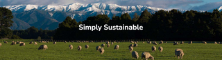 History of Wool Insulation