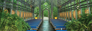 Implementing Biophilic Design in Your Living Space