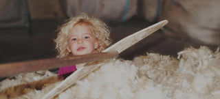 Wool Insulation… Let Nature And Longevity Prevail!