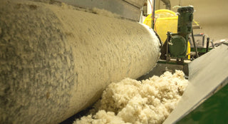 Sheep’s Wool Insulation is Sustainable