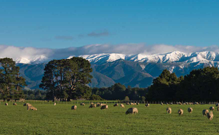 The Insulation Decision