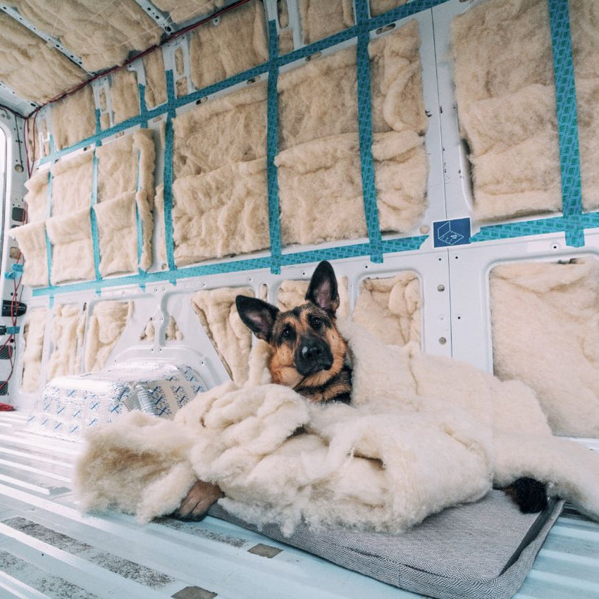 Wool Insulation for Vans – Havelock Wool Insulation