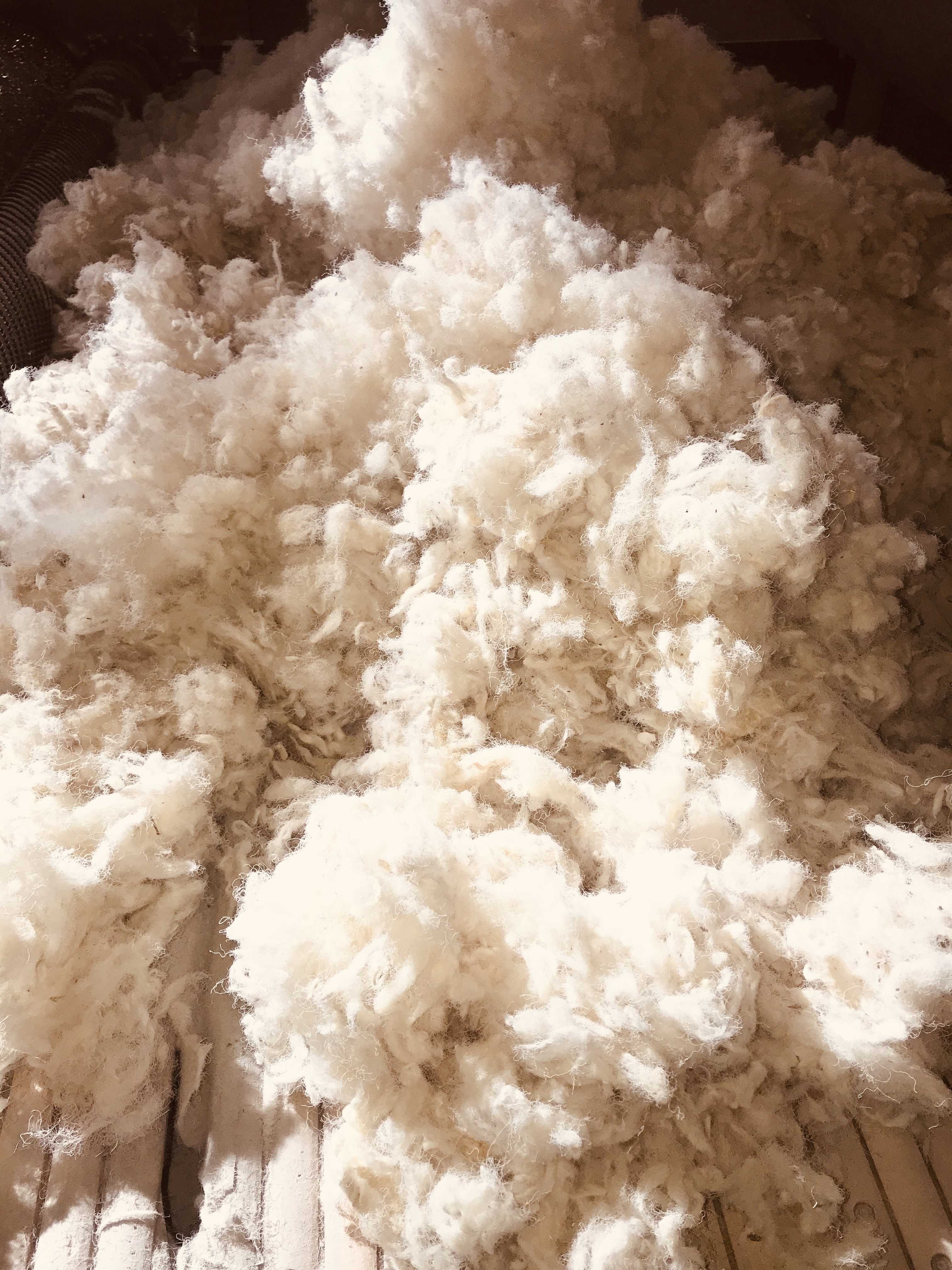 Superior Sound Absorption Havelock Wool Wool Insulation